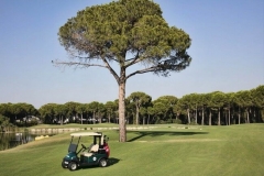 maxx-royal-belka-golf-50