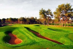 sueno-golf-belka-golf-40